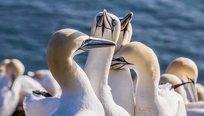 九游娱乐APP-世界田径大赛中国队再获佳绩，世界田径大赛中国队再获佳绩是什么