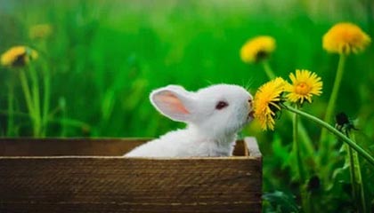 九游娱乐官网 (JIUYOU)-节奏混乱时球员应如何优先选择防守站位，节奏型控卫的球鞋