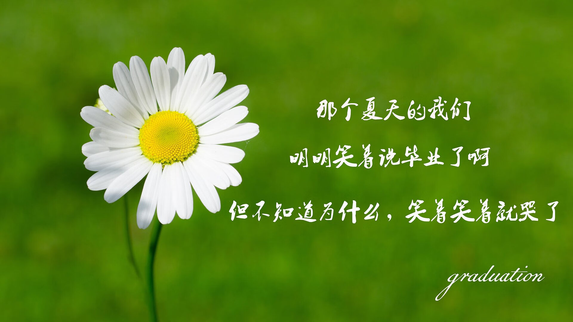 哥伦比亚青少年马术选手在2024年全国青少年马术锦标赛中表现出色，获得多项荣誉。