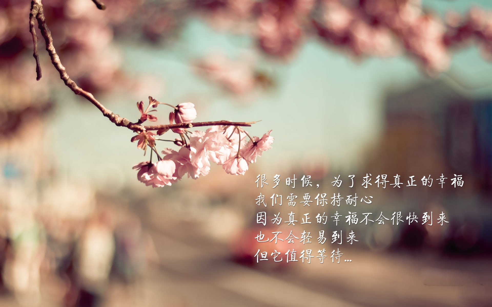 篮网首次采用“动态战术板”，教练组实时调整战术，篮网战术手册