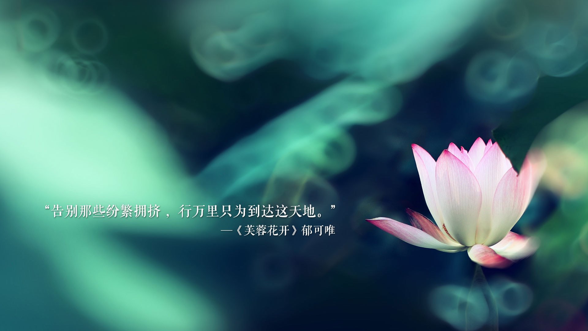 佛罗伦萨险胜卡利亚里，主场球迷欢呼，弗罗伦萨对卡利亚里