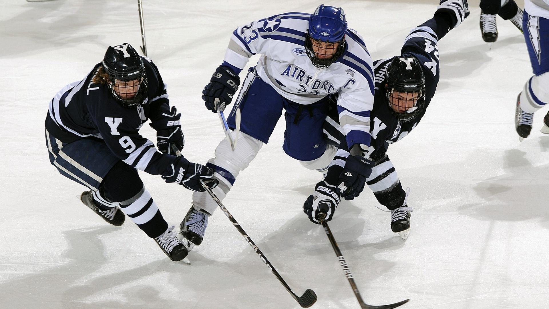 运动员运动科学支持系统，运动员系统训练